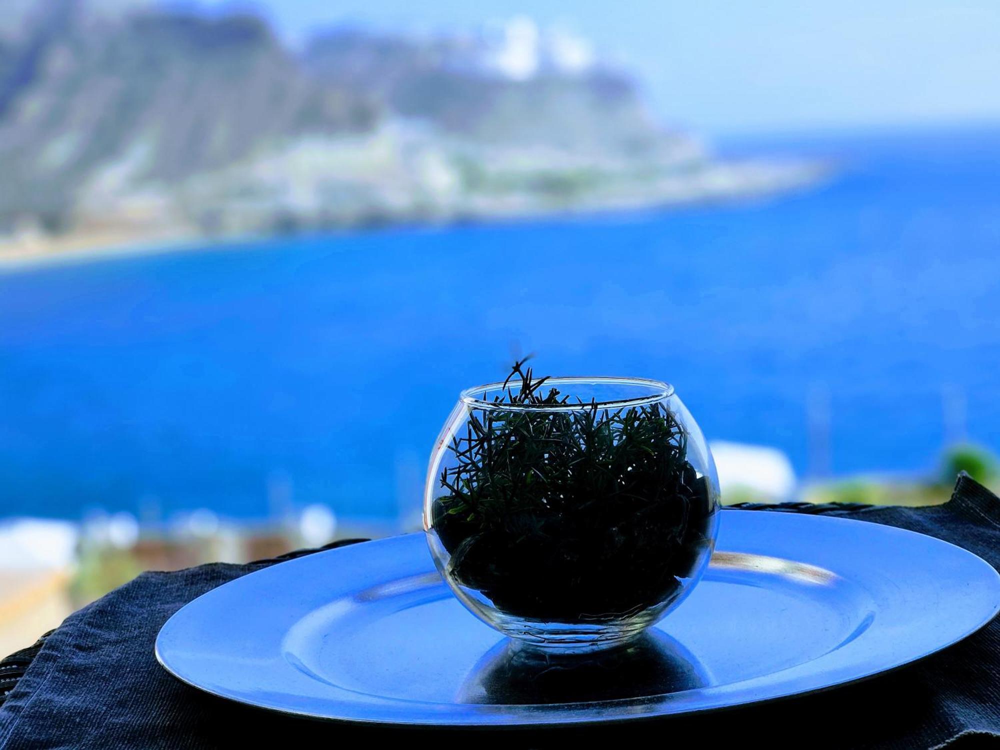Residence Ocean View Mogán エクステリア 写真